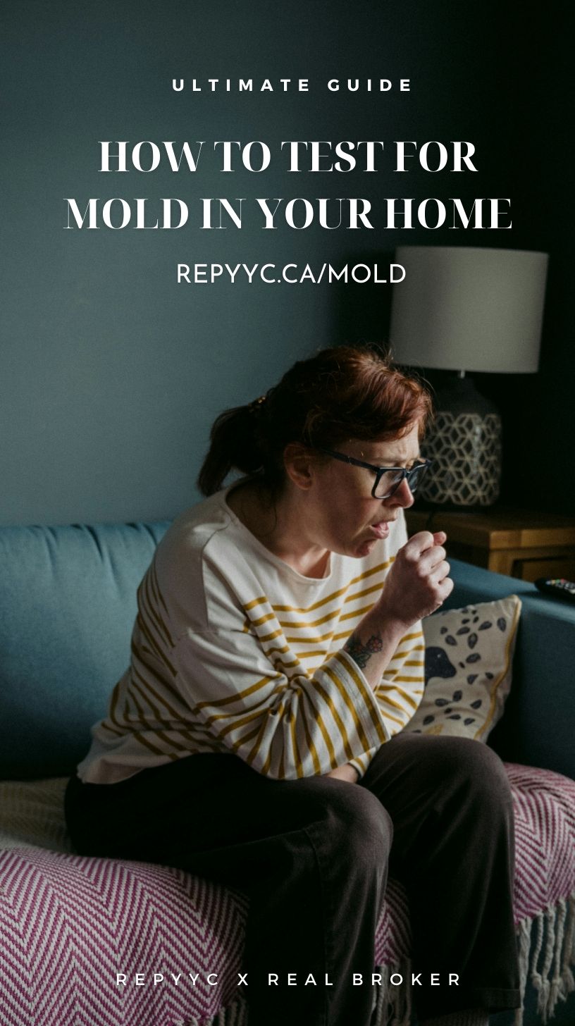 Mold Testing Tips How To Test For Mold In Your Home